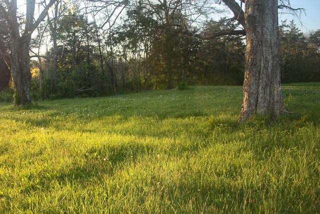 2734 Lanton School House Road Spring Hill, TN 37174 - Photo 14 of 19
