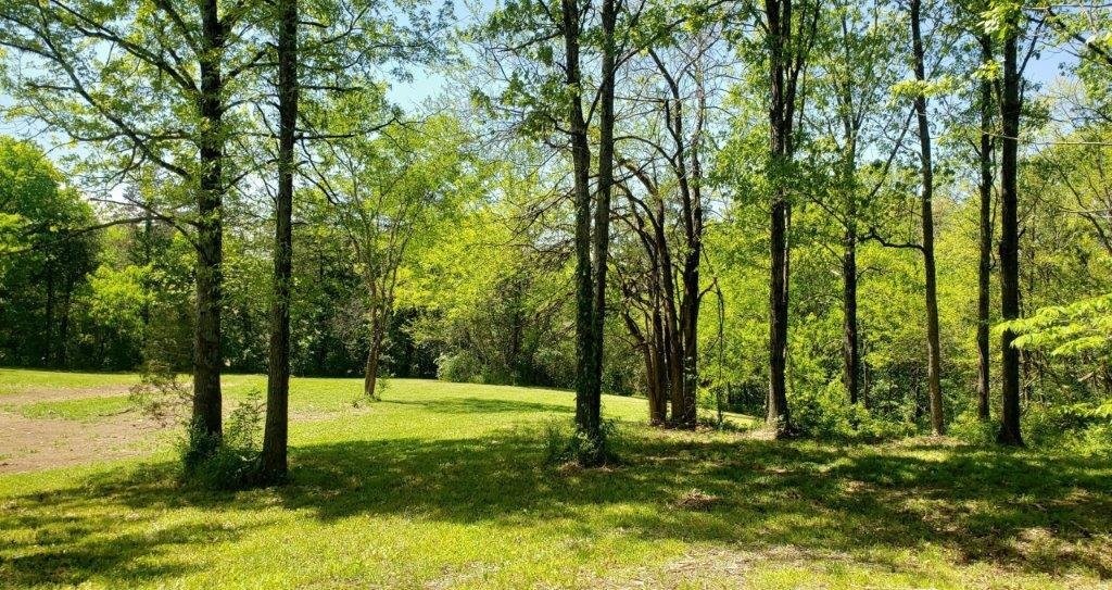 2734 Lanton School House Road Spring Hill, TN 37174 - Photo 4 of 19
