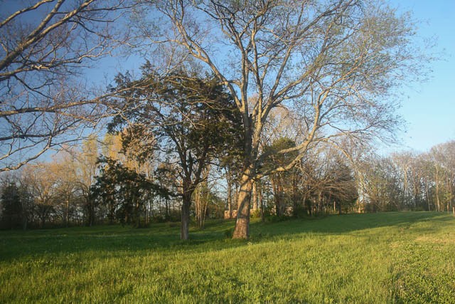2734 Lanton School House Road Spring Hill, TN 37174 - Photo 10 of 19