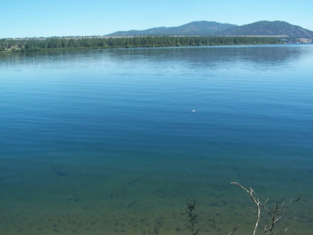0 West Long Lake Road Reardan, WA 99029 - Photo 6 of 7 Gallery Image 6