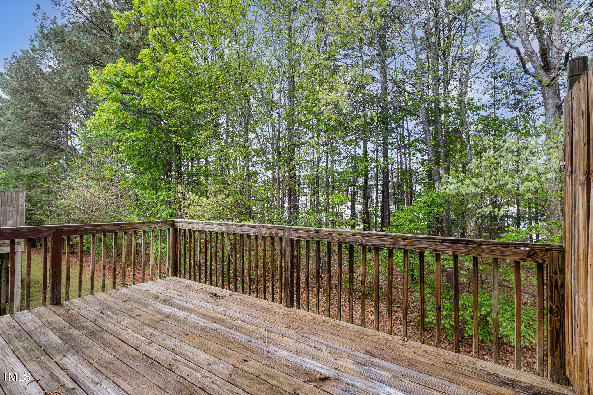 117 Gallent Hedge Trail Apex, NC 27539 - Photo 22 of 35 024_file_799