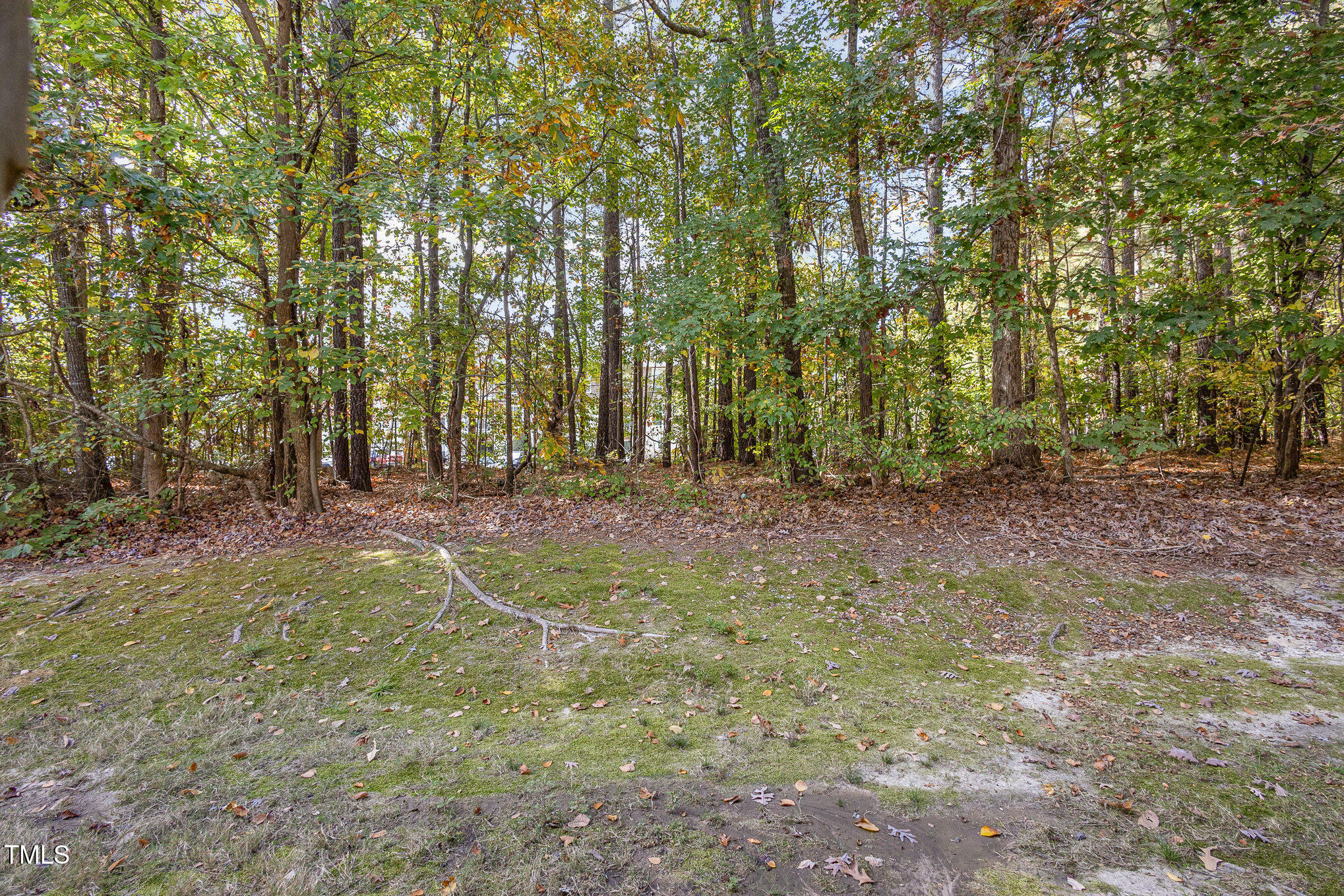 117 Gallent Hedge Trail Apex, NC 27539 - Photo 28 of 35 r6ii7074-edit_179