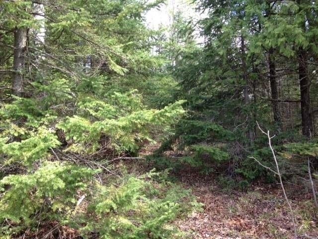On Hiawatha Shores Road Presque Isle, WI 54557 - Photo 6 of 11 Gallery Image 6