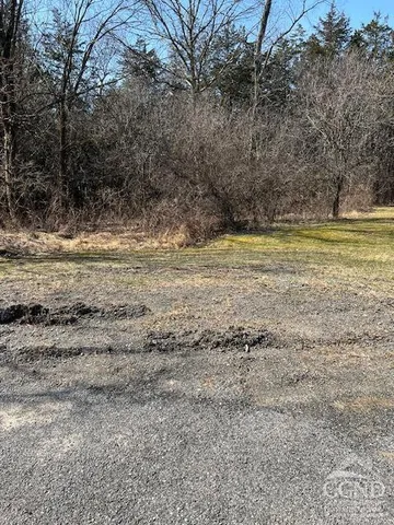 a view of a yard with a large tree