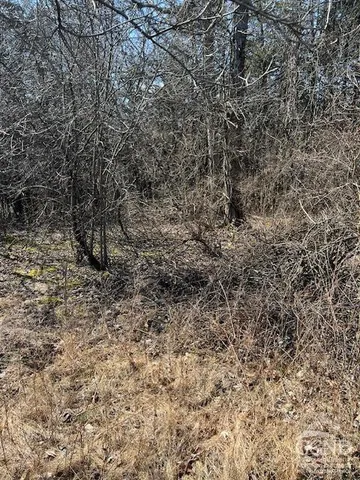 a view of a yard with a dry yard
