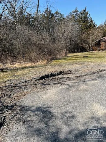 a view of a yard with a large tree