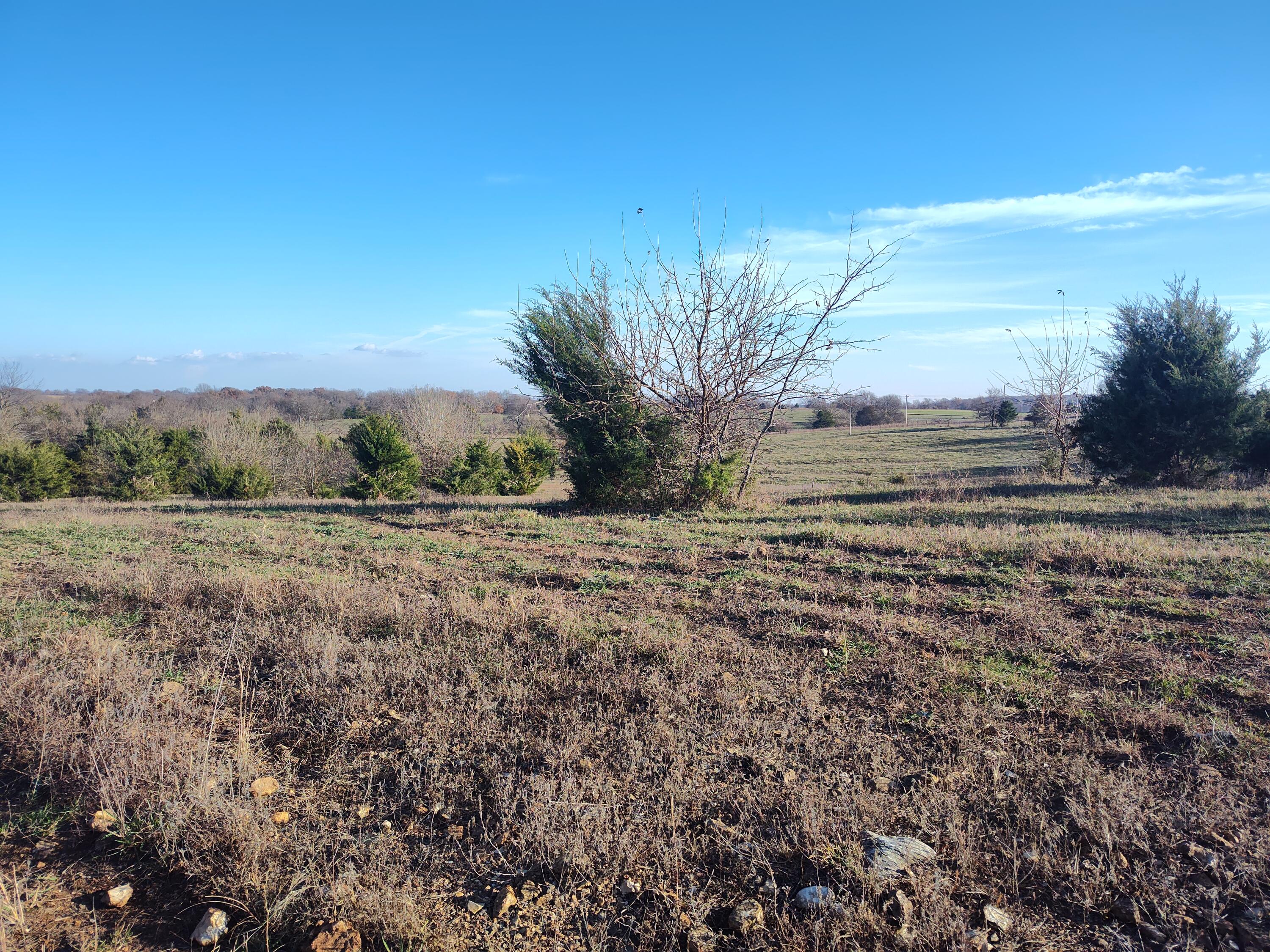 1672 East 355th Road Bolivar, MO 65613 - Photo 62 of 92 Land 4