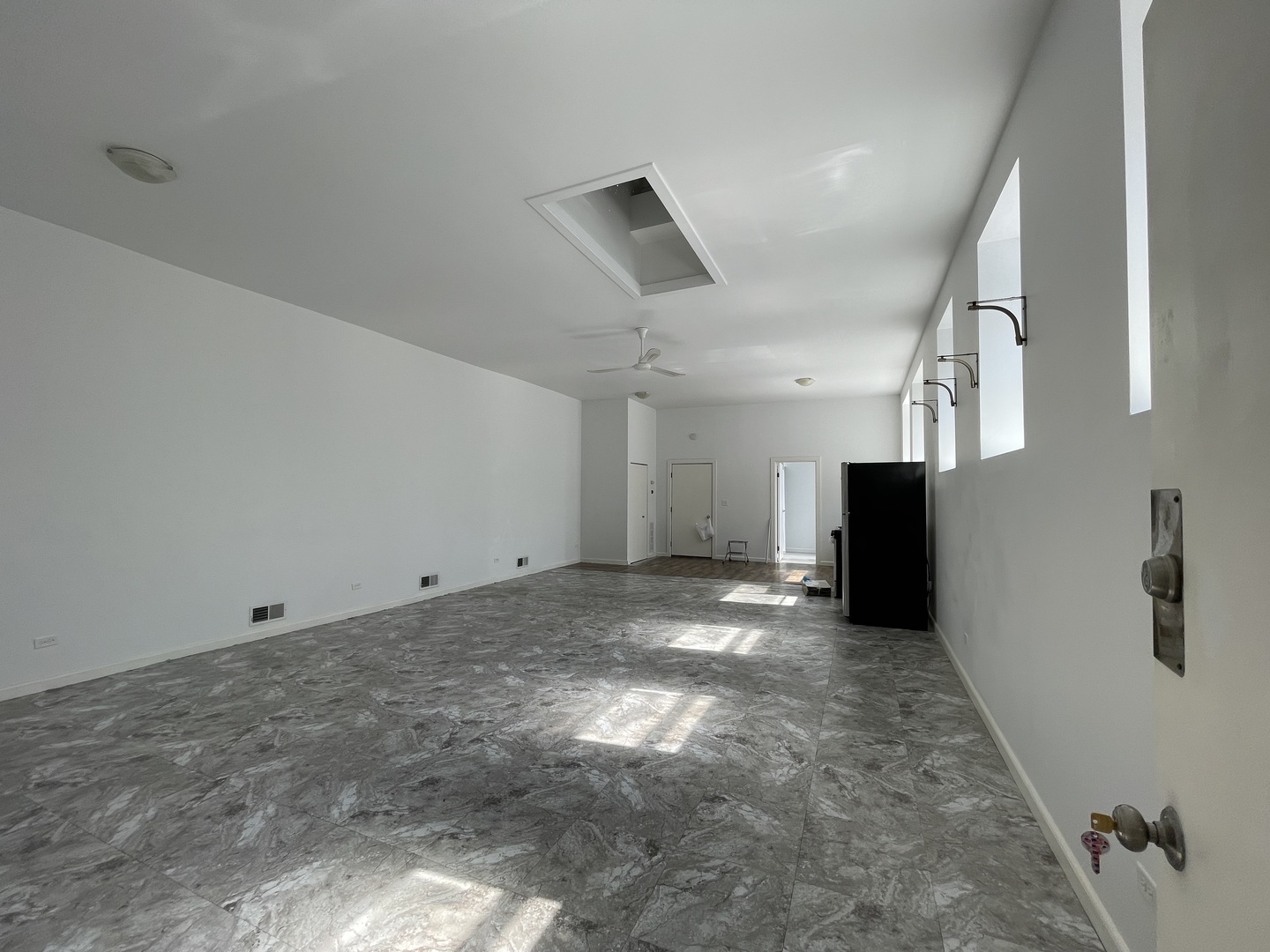 1819 South May Street, Unit 1R Chicago, IL 60608 - Photo 4 of 4