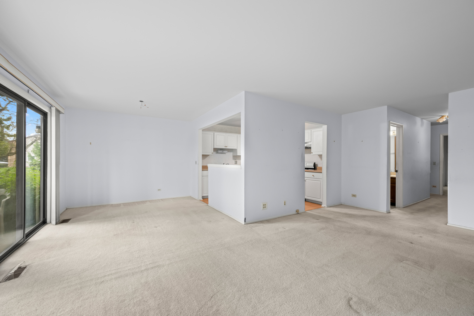 1542 Springview Court, Unit B1 Wheeling, IL 60090 - Photo 7 of 14 an empty room with a natural light