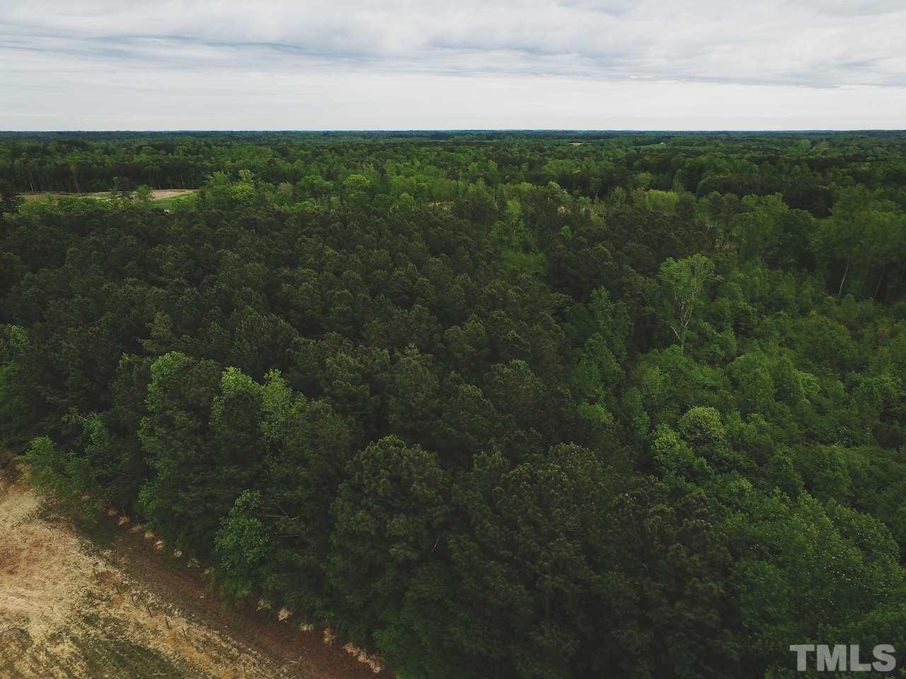 Seven Seven Paths Road Spring Hope, NC 27882 - Photo 11 of 30