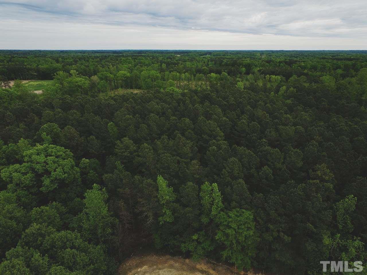 Seven Seven Paths Road Spring Hope, NC 27882 - Photo 12 of 30