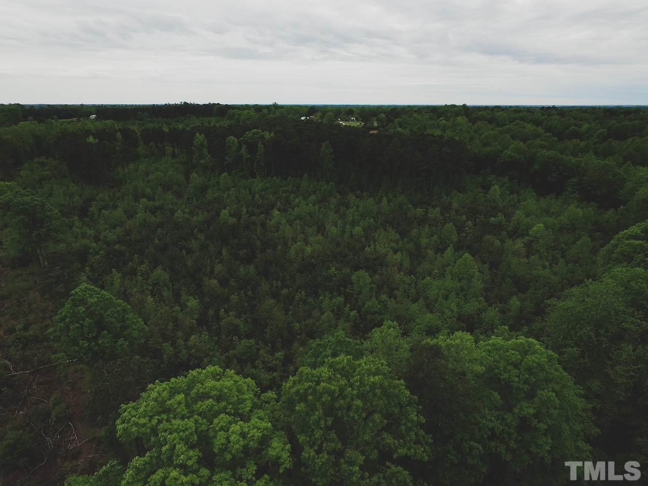 Seven Seven Paths Road Spring Hope, NC 27882 - Photo 16 of 30