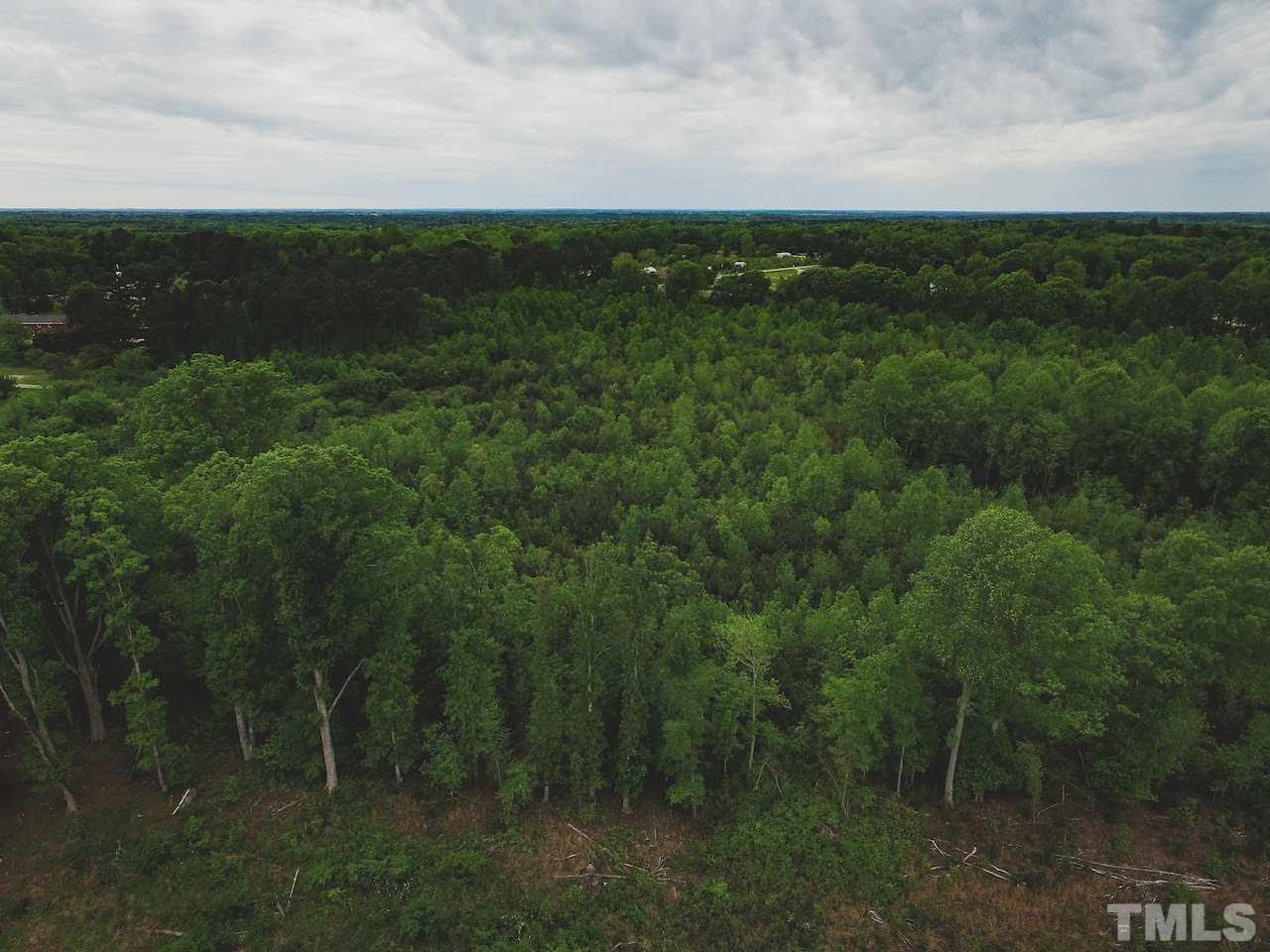 Seven Seven Paths Road Spring Hope, NC 27882 - Photo 18 of 30