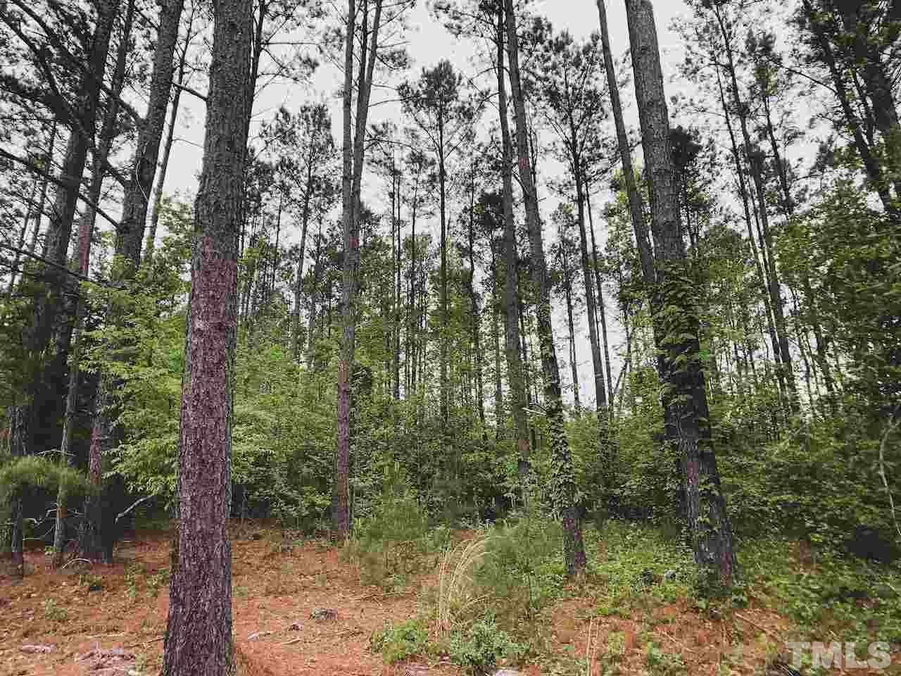 Seven Seven Paths Road Spring Hope, NC 27882 - Photo 3 of 30