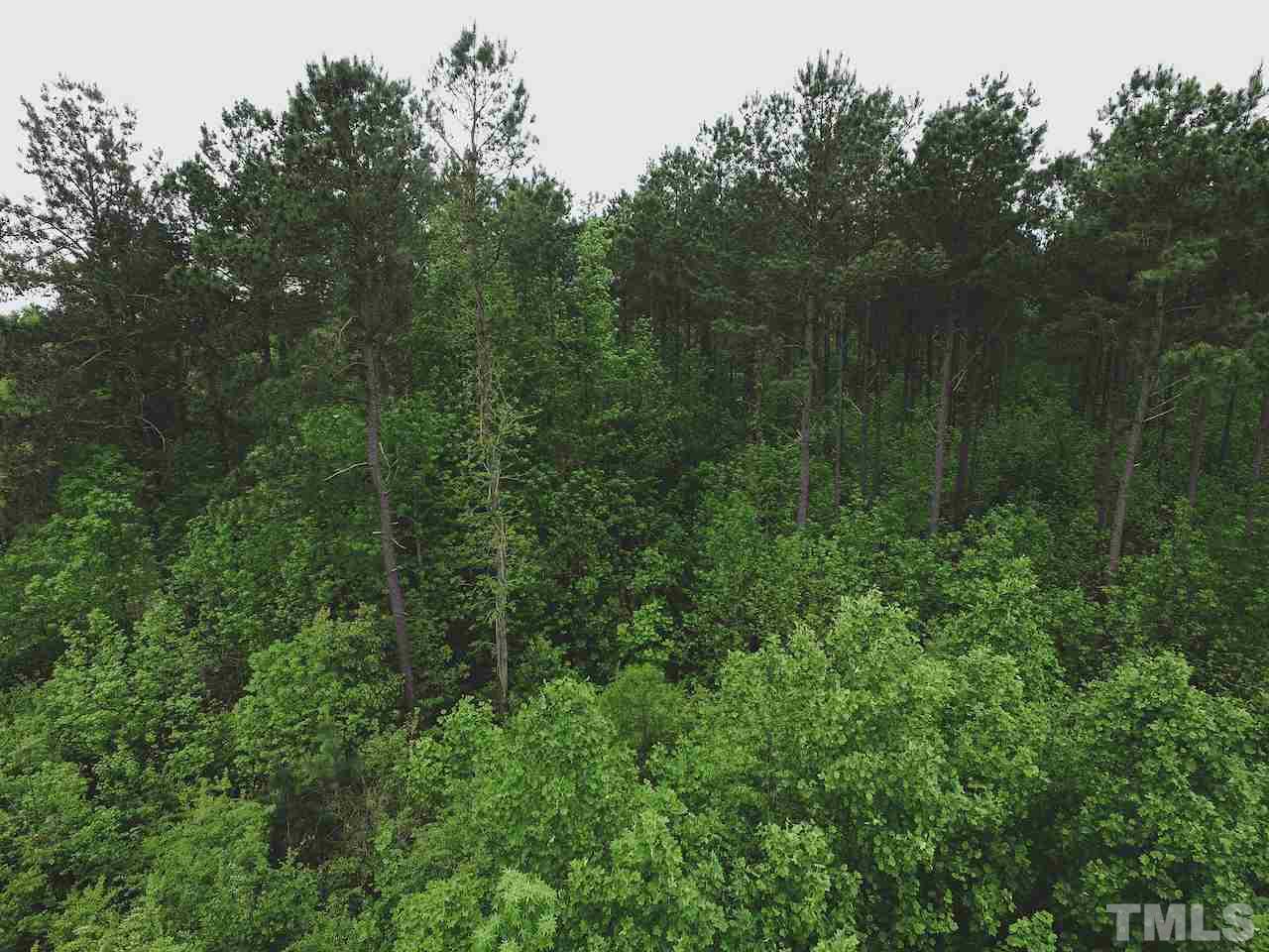 Seven Seven Paths Road Spring Hope, NC 27882 - Photo 23 of 30
