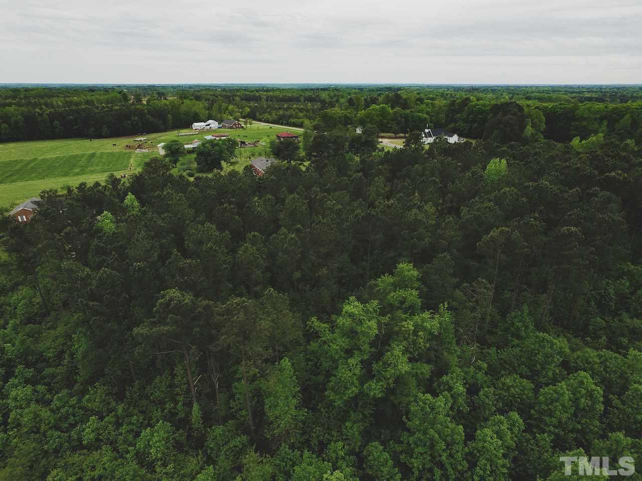 Seven Seven Paths Road Spring Hope, NC 27882 - Photo 24 of 30