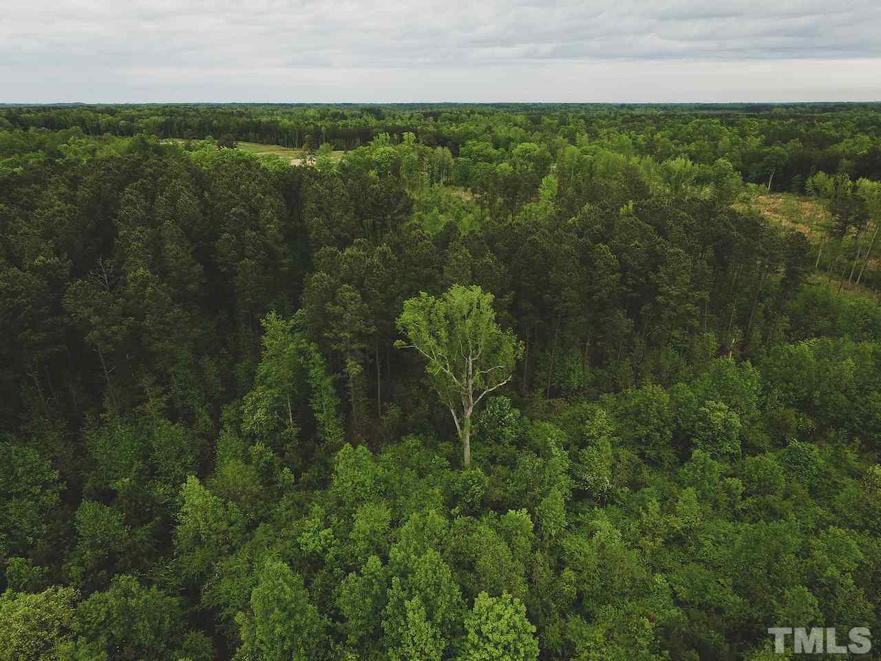 Seven Seven Paths Road Spring Hope, NC 27882 - Photo 25 of 30