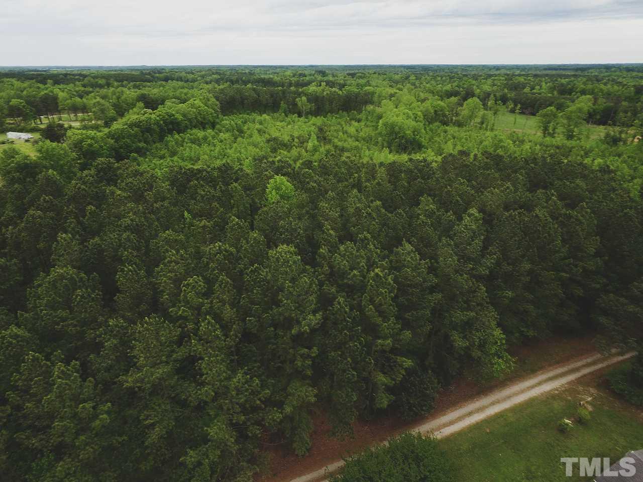 Seven Seven Paths Road Spring Hope, NC 27882 - Photo 6 of 30