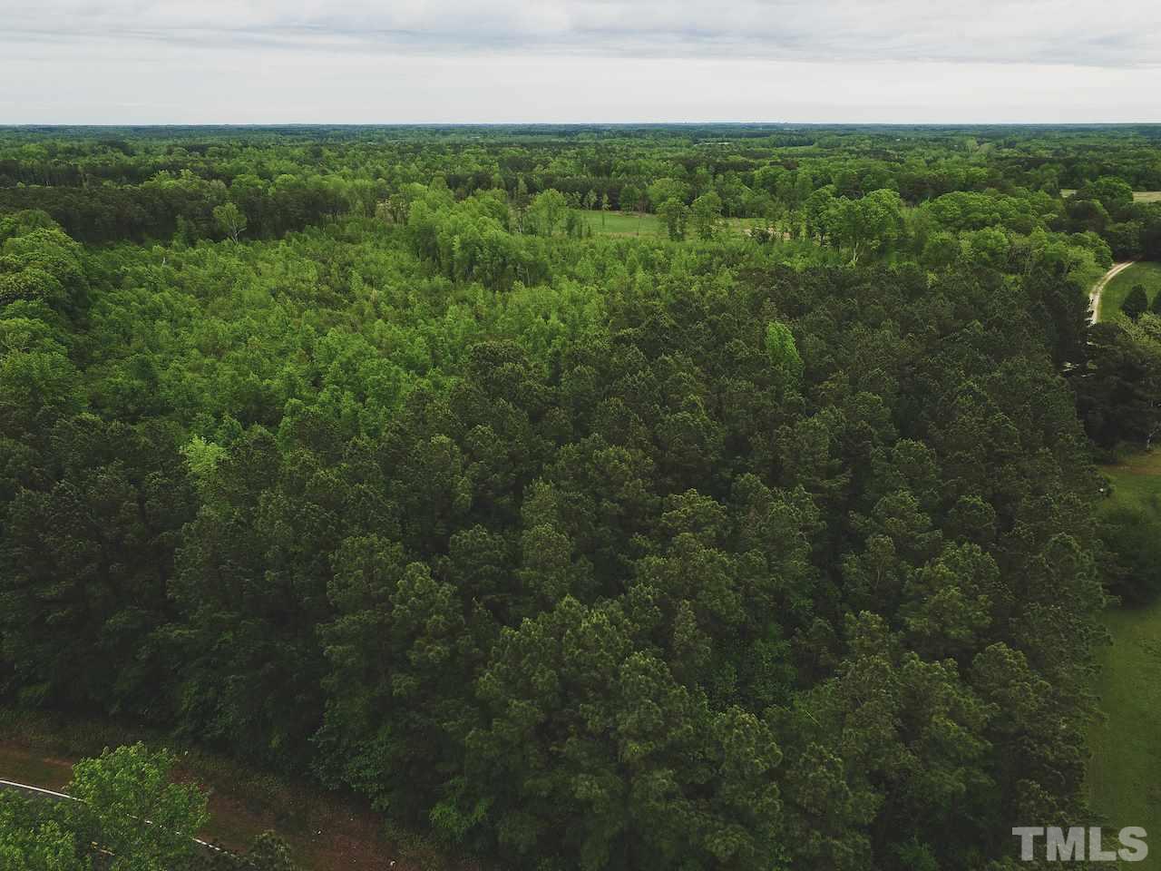 Seven Seven Paths Road Spring Hope, NC 27882 - Photo 7 of 30