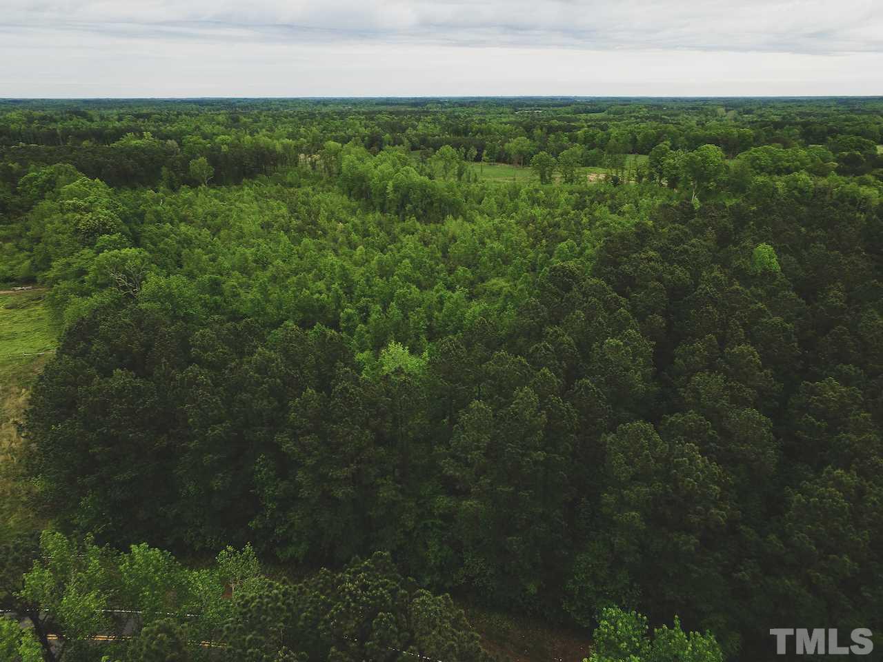 Seven Seven Paths Road Spring Hope, NC 27882 - Photo 8 of 30