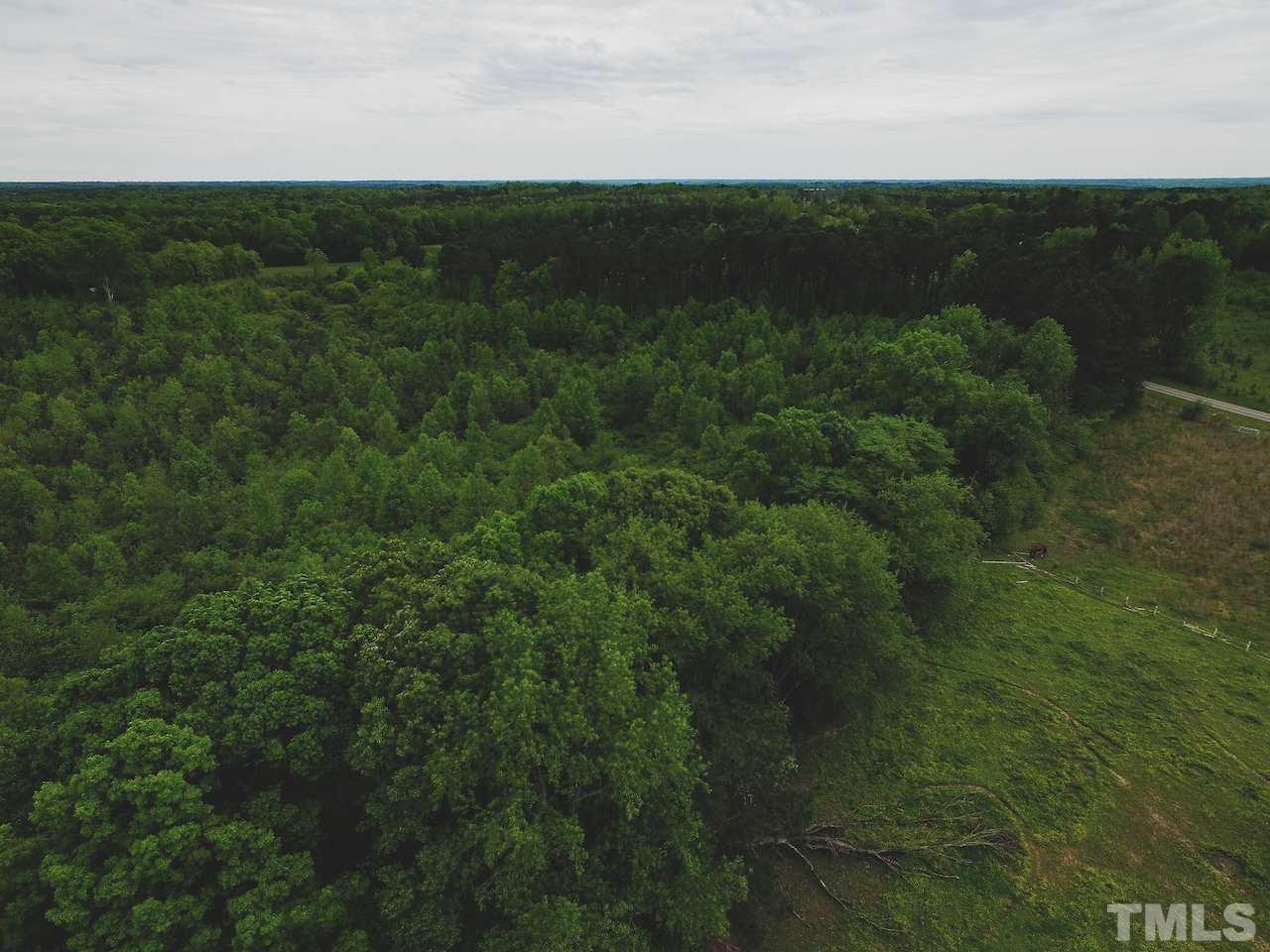 Seven Seven Paths Road Spring Hope, NC 27882 - Photo 10 of 30