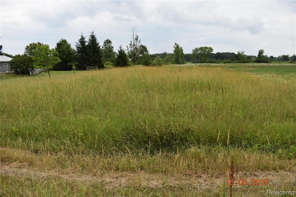 Parcel D & E Parcel D & E Daley Road Lapeer, MI 48446 - Photo 1 of 2