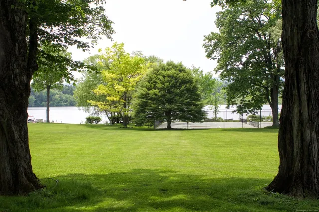 a view of an ocean from a yard