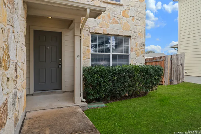 a view of backyard with plants