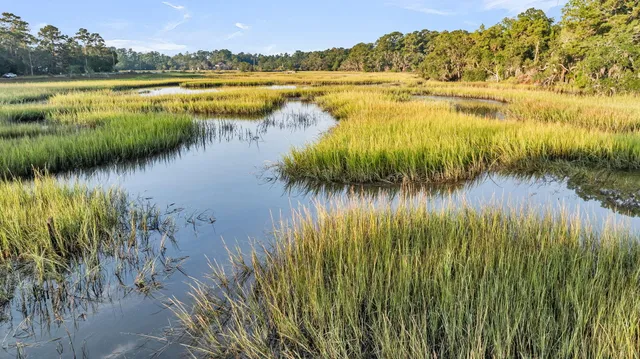 $989,000 | 7262 Toogoodoo Road, Meggett, SC 29449