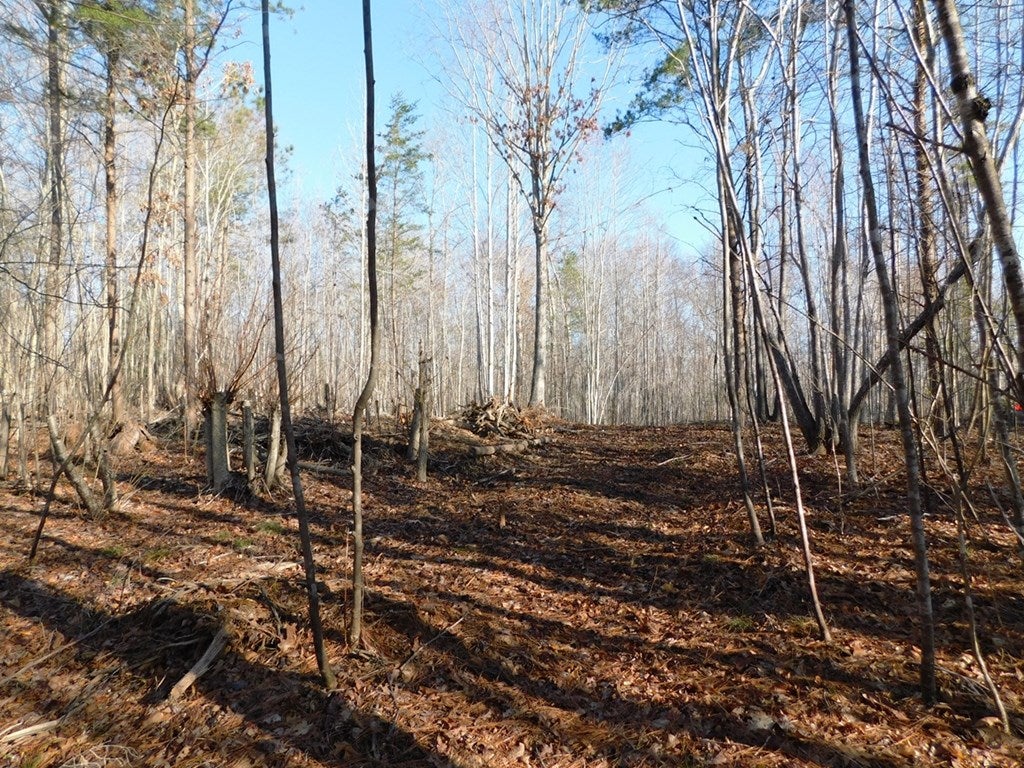 629 Weaver Road, Unit 9 Green Bay, VA 23942 - Photo 3 of 12 Gallery Image 3
