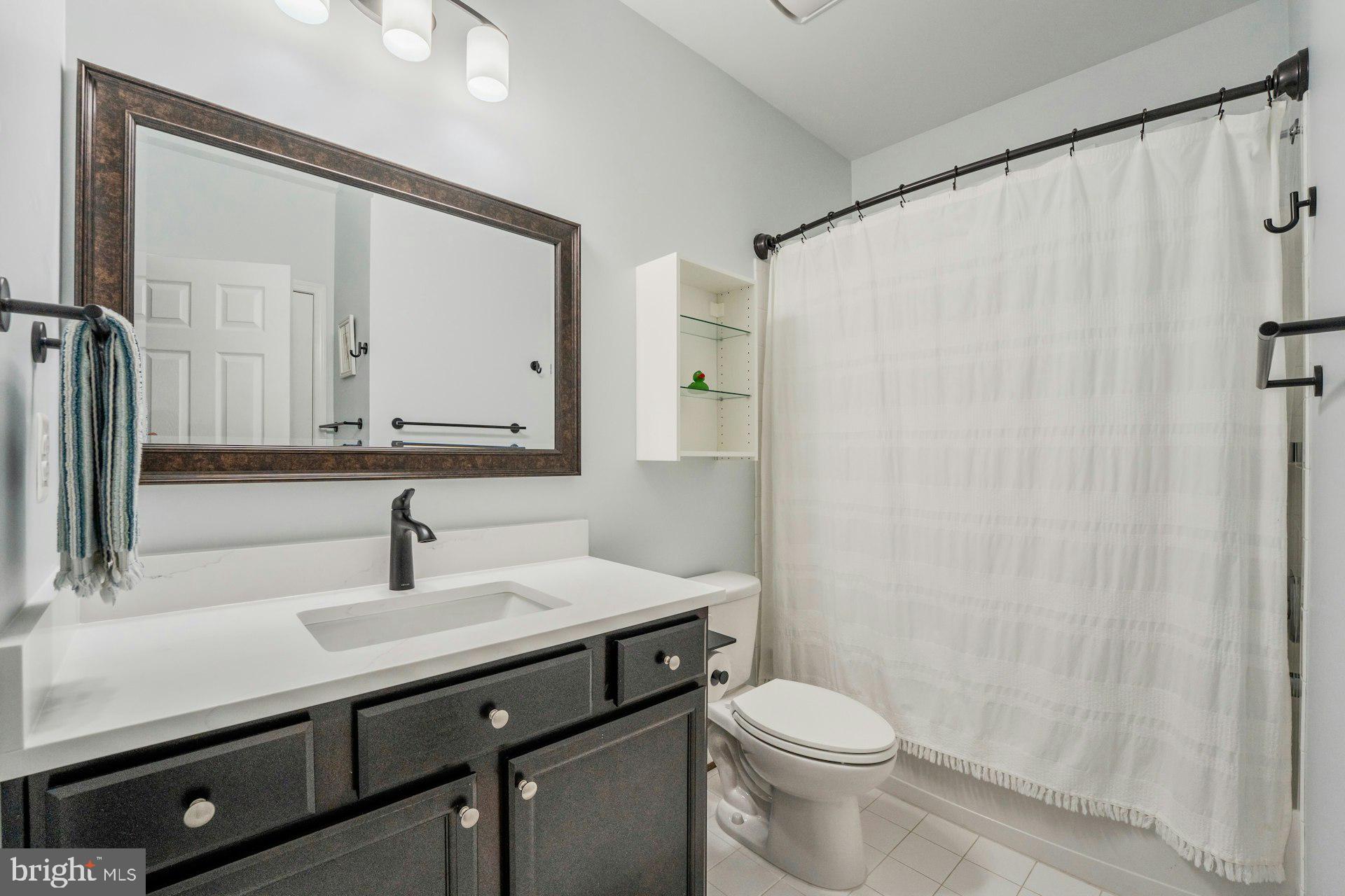 18120 Ridgewood Place Round Hill, VA 20141 - Photo 34 of 46 a bathroom with a sink a toilet and a mirror