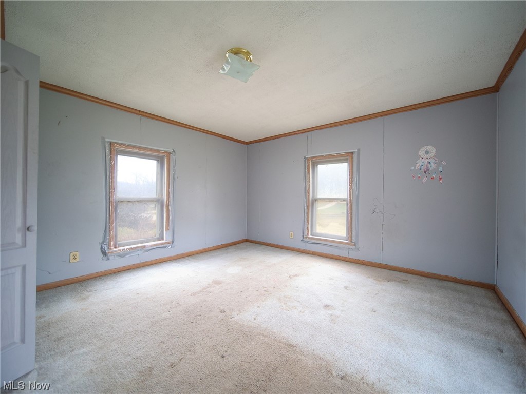 12432 Glasgow Road Southwest Port Washington, OH 43837 - Photo 15 of 31 Unfurnished room with ornamental molding and light carpet