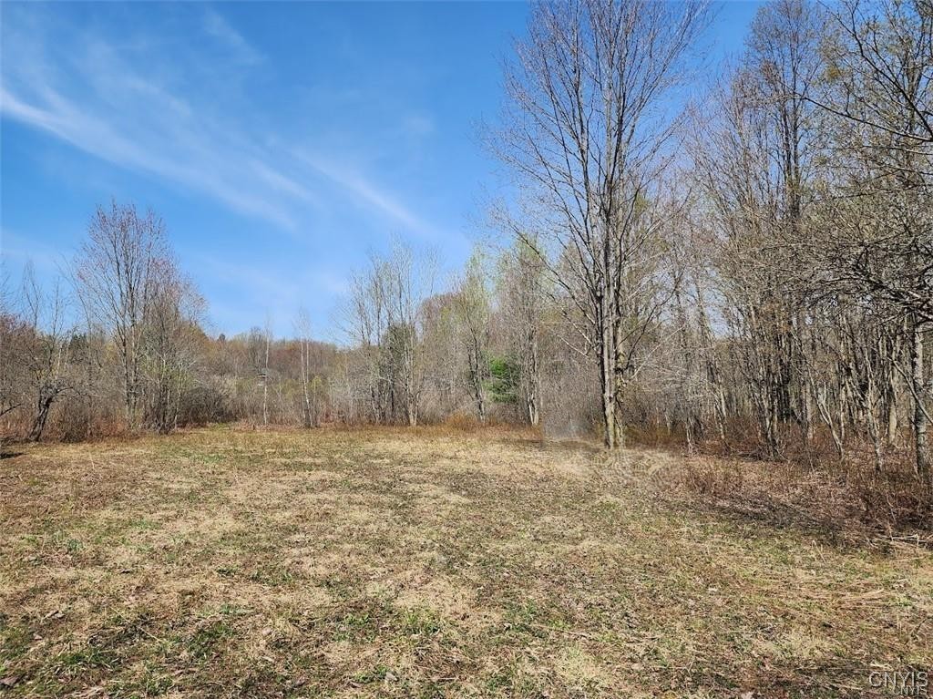 0 County Route 70 Camden, NY 13316 - Photo 12 of 14