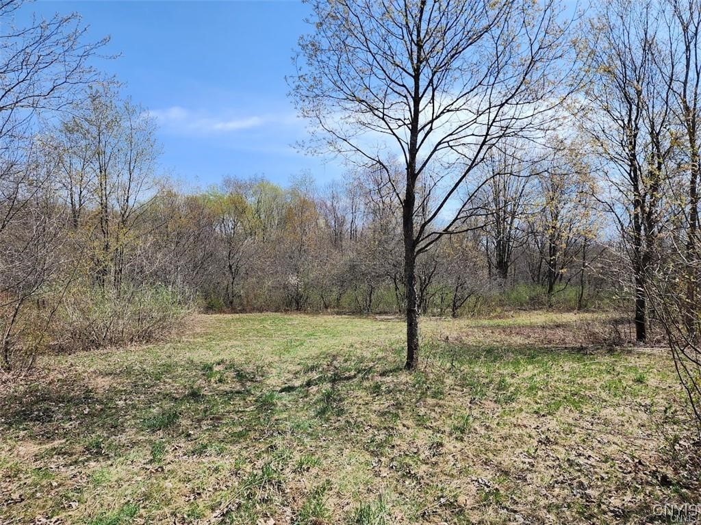 0 County Route 70 Camden, NY 13316 - Photo 13 of 14