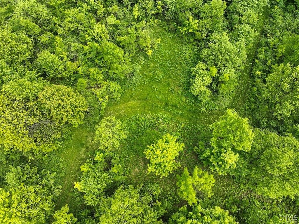 0 County Route 70 Camden, NY 13316 - Photo 9 of 14