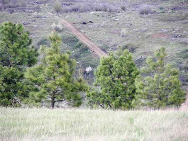 14308 West Jacobs Road Spokane, WA 99224 - Photo 8 of 9