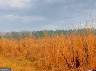 Lot 18 George Morris Road Vidalia, GA 30474 - Photo 1 of 1 Main View