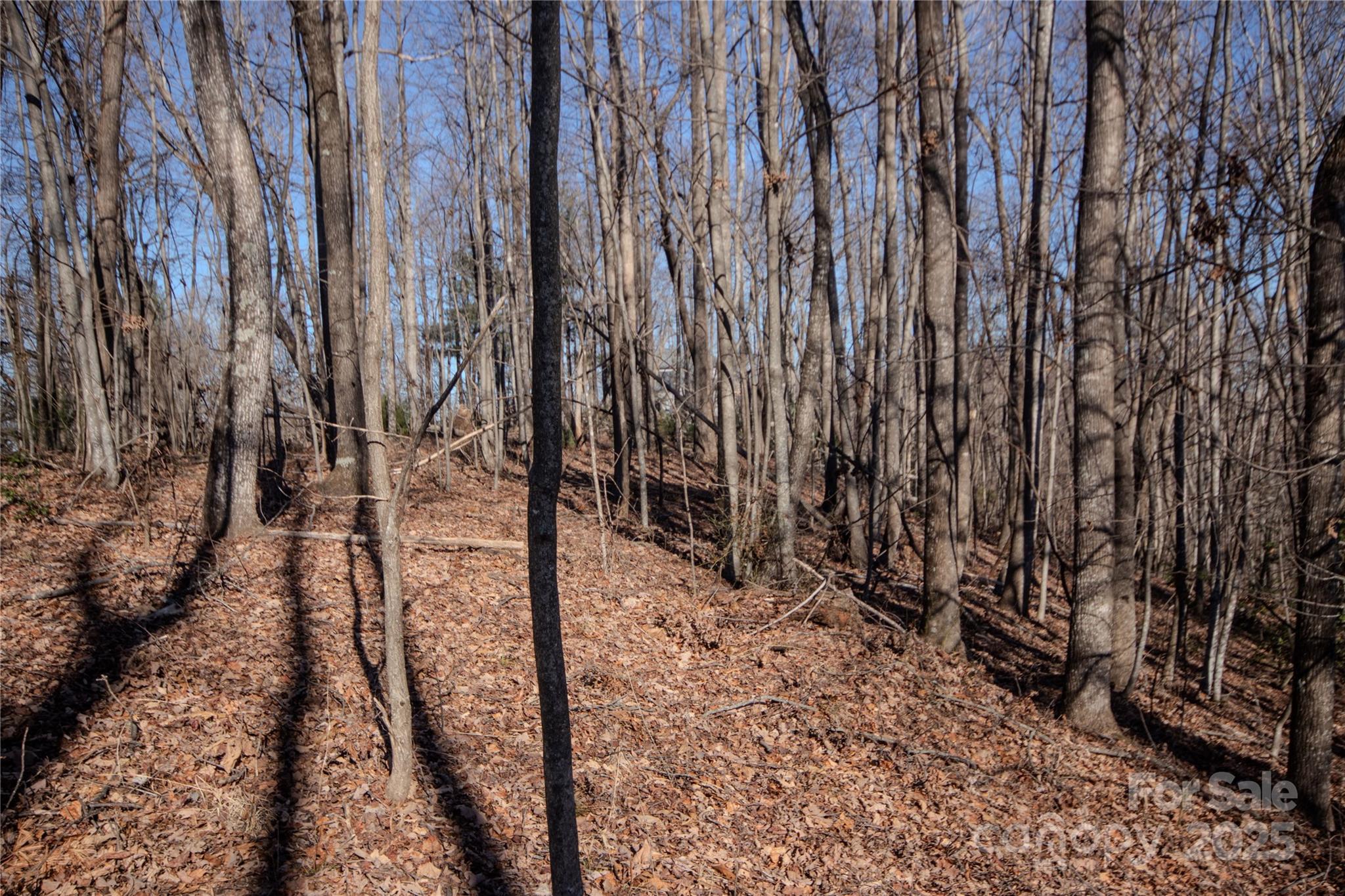 2215 Nighthawk Ridge Court, Unit 21 Lenoir, NC 28645 - Photo 11 of 11 a view of a backyard of the house
