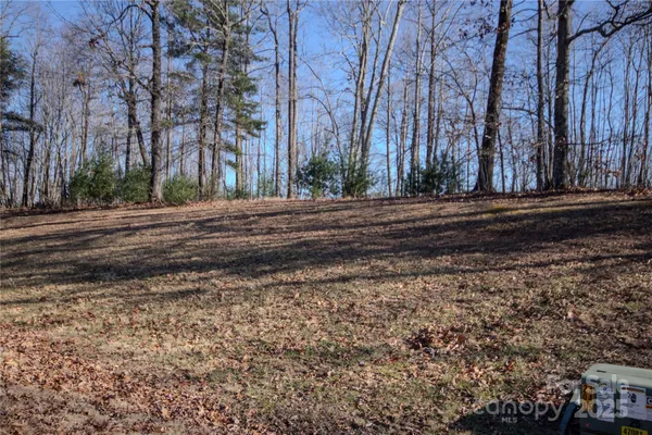 a view of a yard with trees