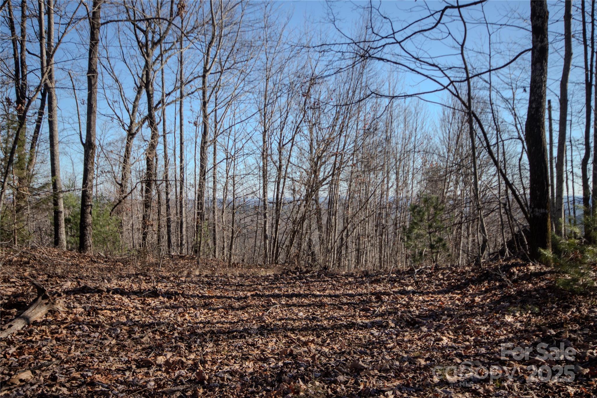 2215 Nighthawk Ridge Court, Unit 21 Lenoir, NC 28645 - Photo 5 of 11 a view of house with yard
