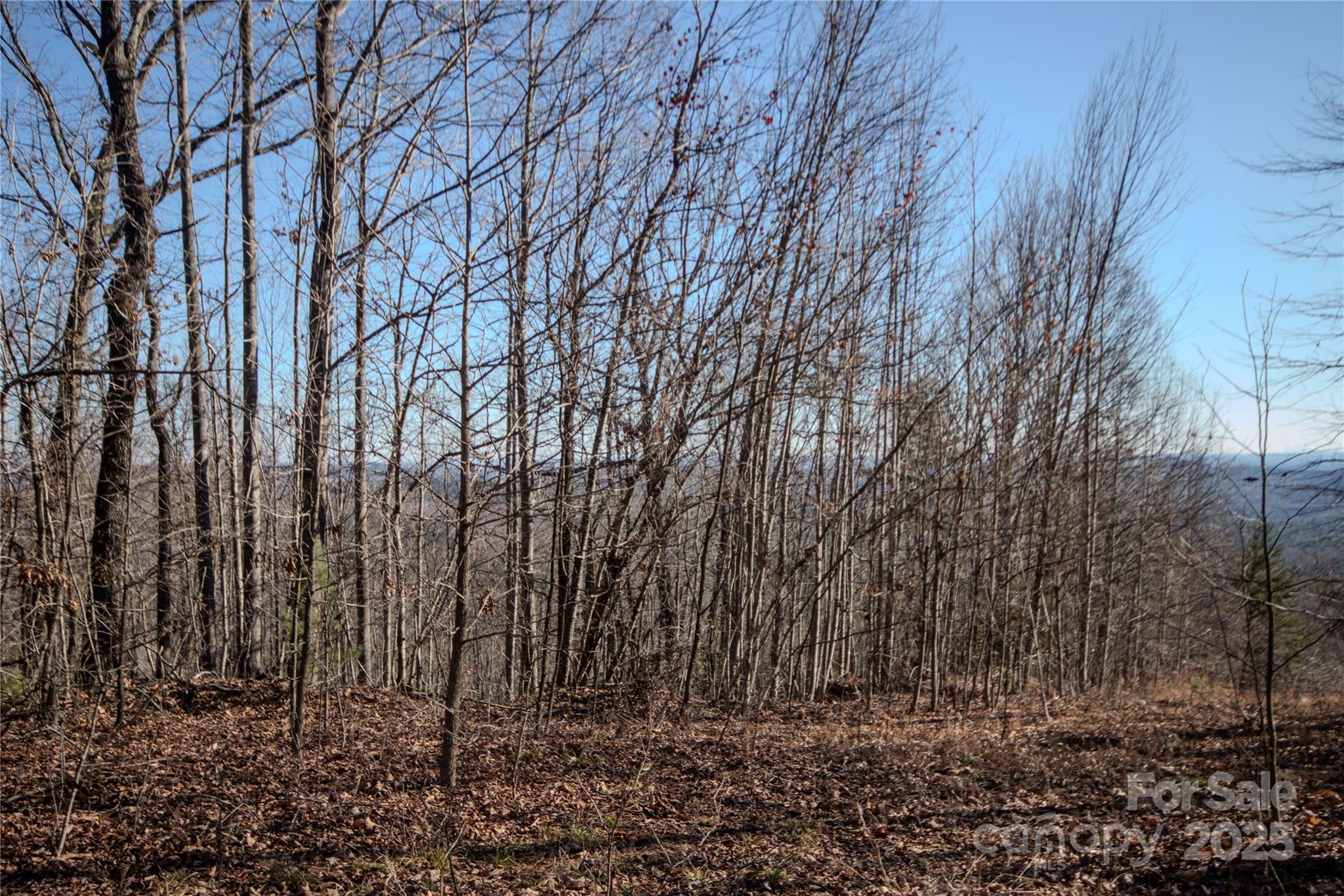 2215 Nighthawk Ridge Court, Unit 21 Lenoir, NC 28645 - Photo 8 of 11 a view of a yard