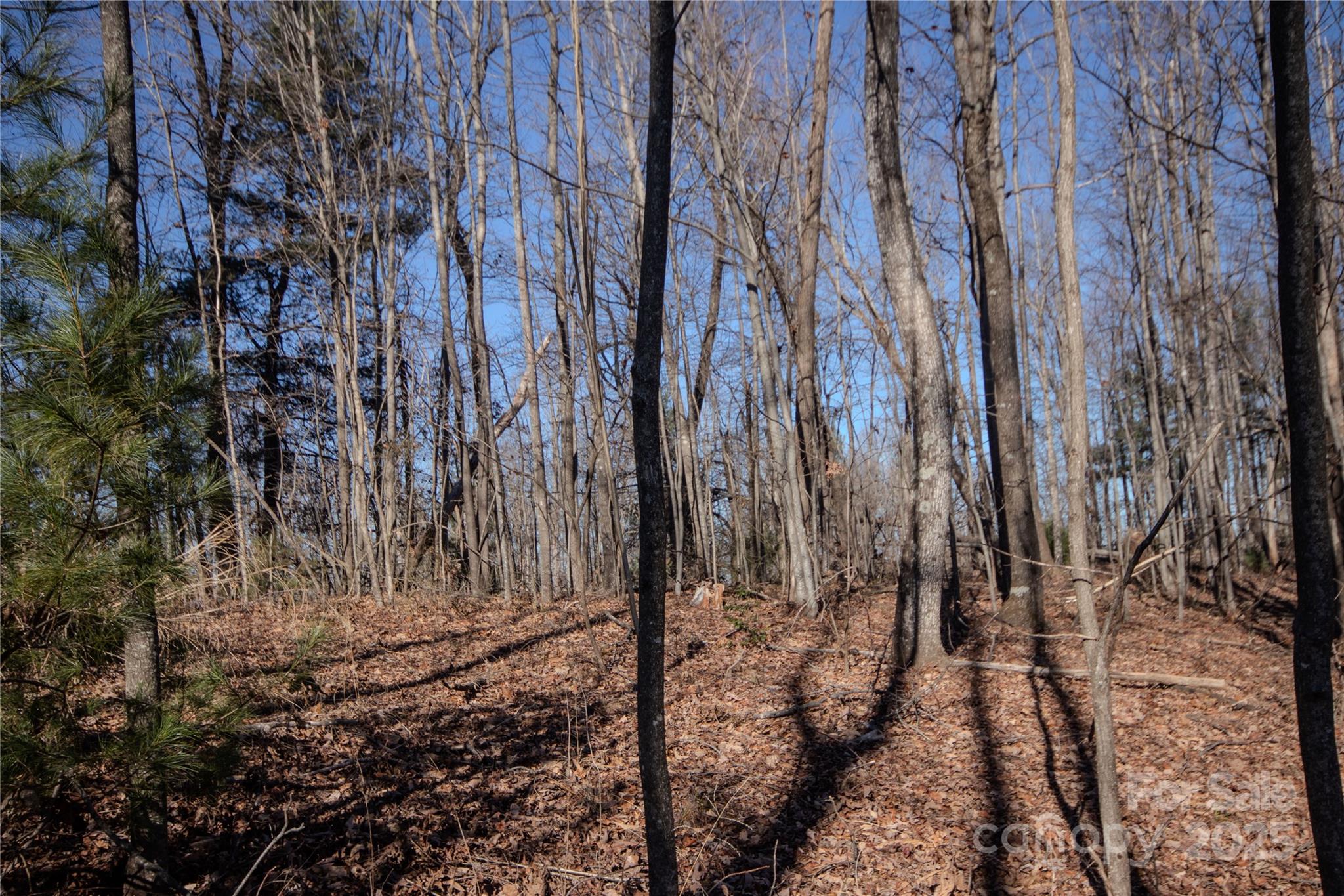 2215 Nighthawk Ridge Court, Unit 21 Lenoir, NC 28645 - Photo 10 of 11 a view of a yard with trees