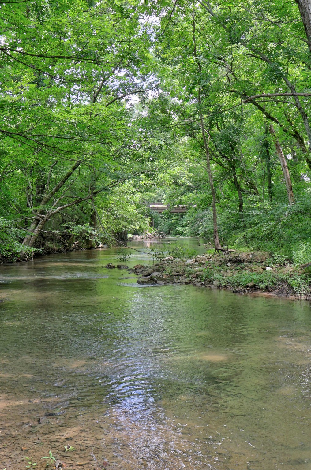 1213 Rock Church Road Dickson, TN 37055 - Photo 65 of 72