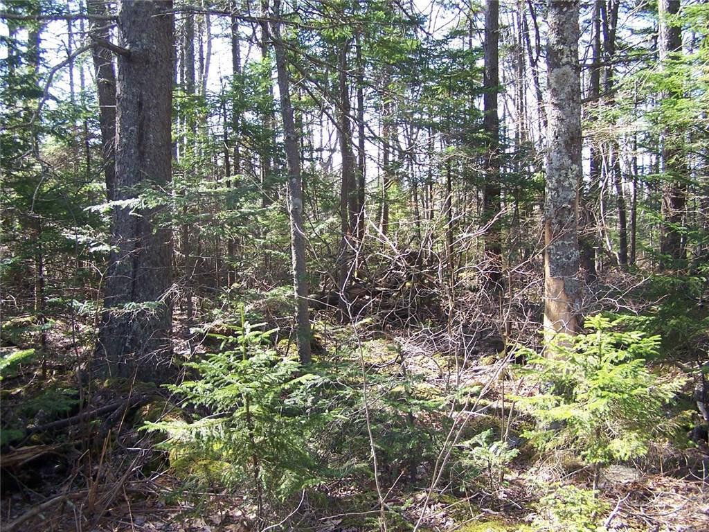 0 Snowball Hill Road New Harbor, ME 04554 - Photo 8 of 8 Photo