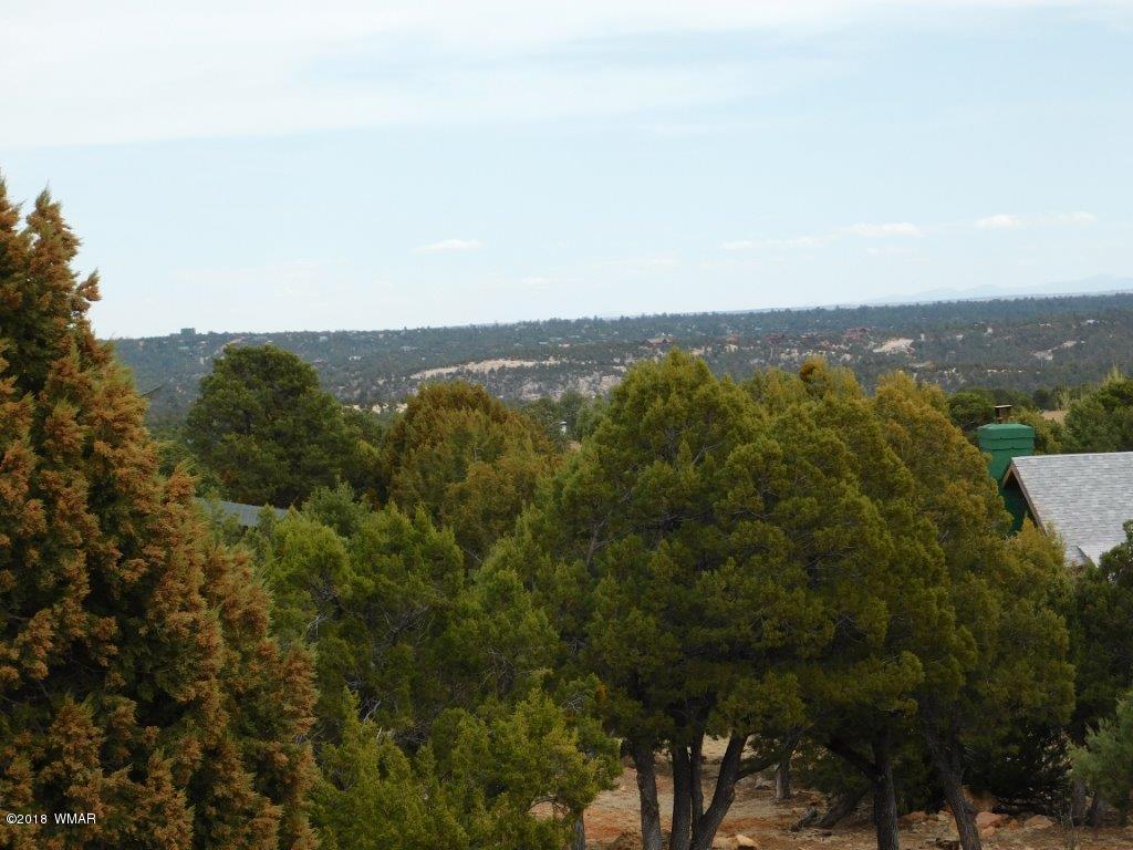 3431 Riata Road Heber, AZ 85928 - Photo 3 of 40 Gallery Image 3