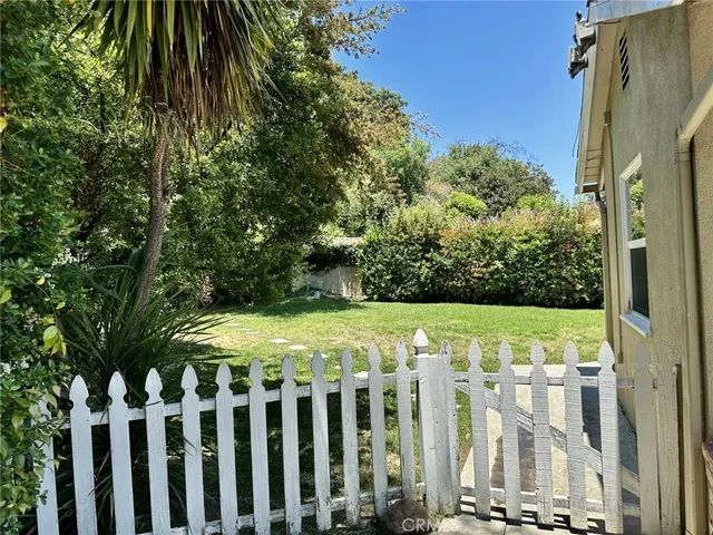 a view of a yard with plants
