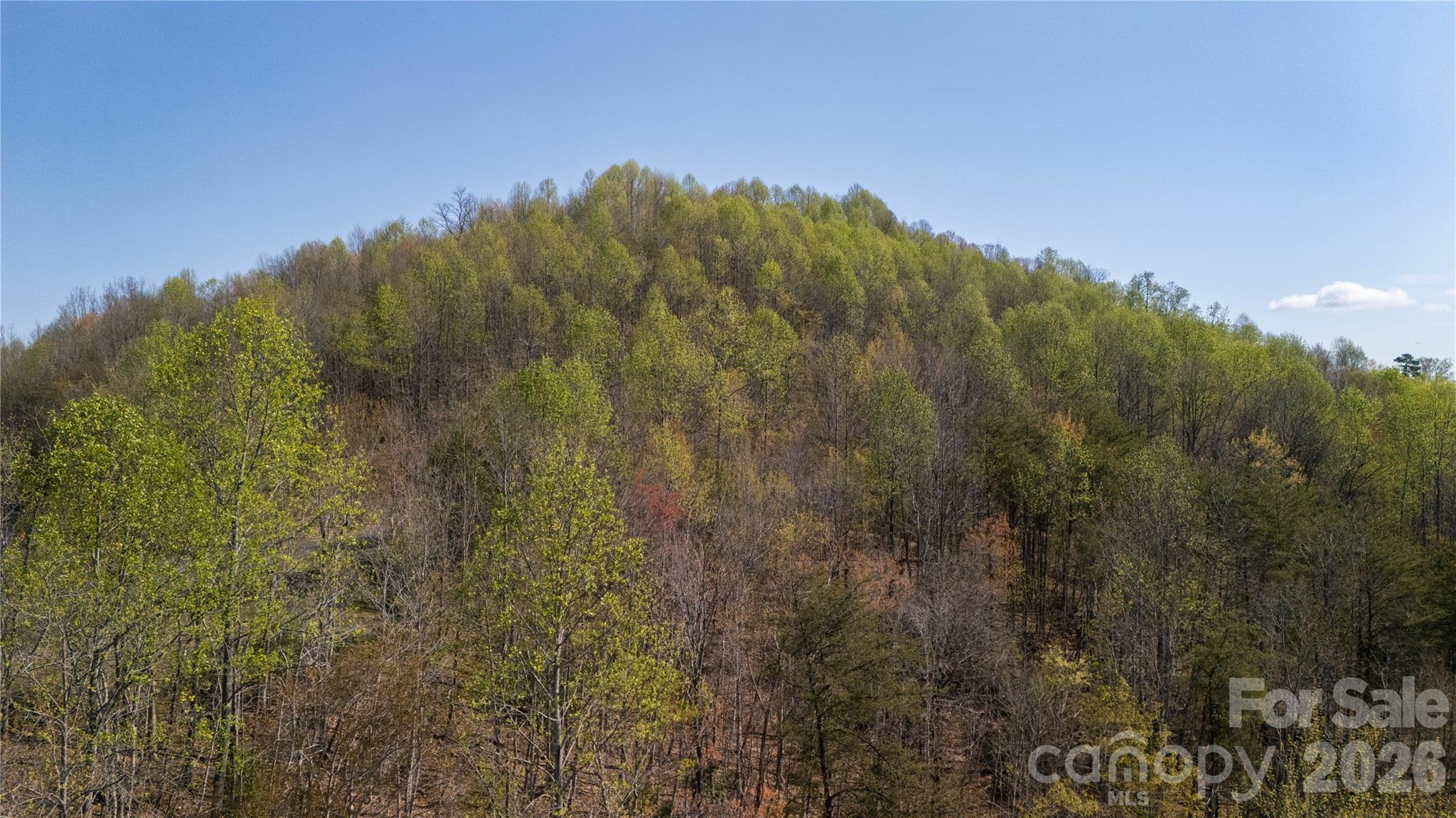 Tbd Owls Ridge Drive Apex, NC 27523 - Photo 11 of 14 a view of a yard