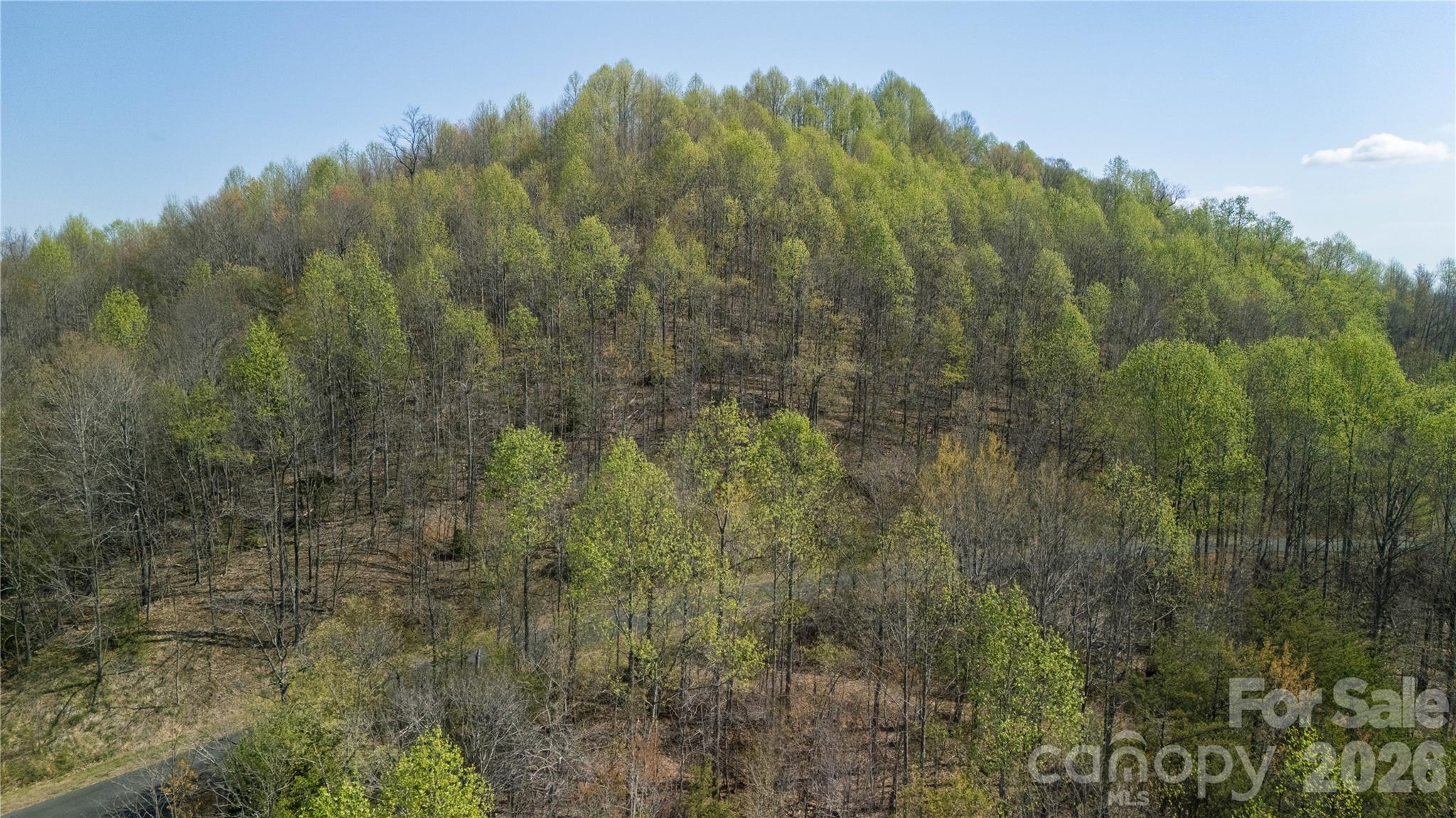Tbd Owls Ridge Drive Apex, NC 27523 - Photo 12 of 14 a view of a forest with a street