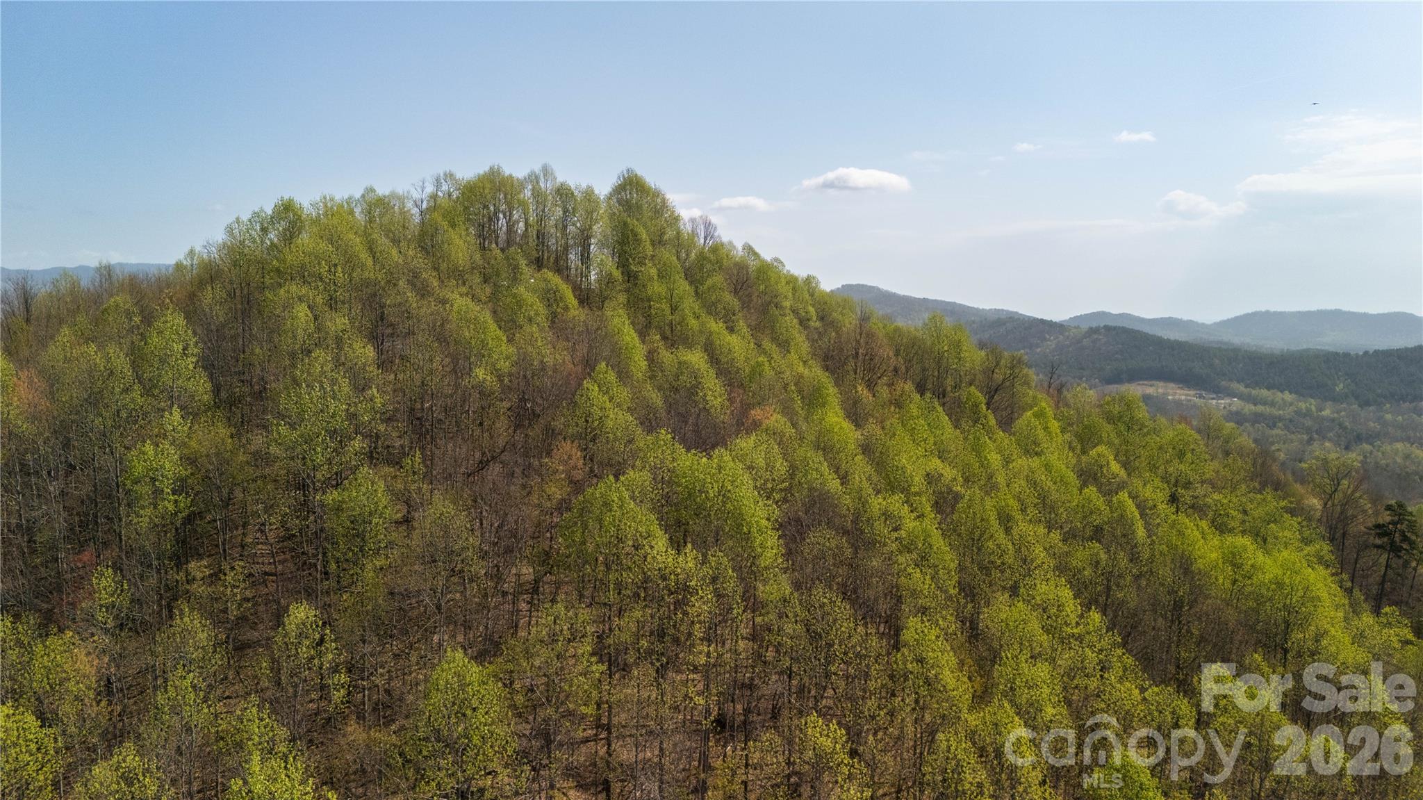 Tbd Owls Ridge Drive Apex, NC 27523 - Photo 13 of 14 a view of a mountain