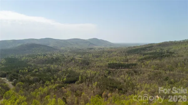 a view of a mountain range with lush green forest